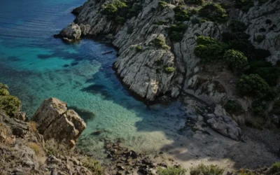 Alt Empordà: El racó on la tradició, la natura i els negocis locals floreixen
