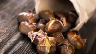 Aquí fem la castanyada