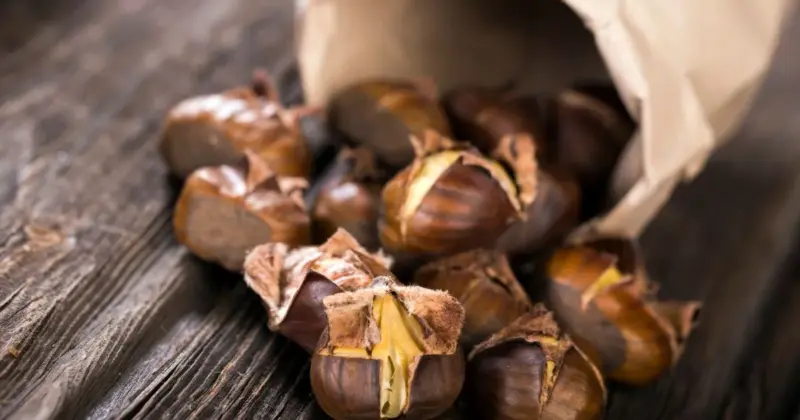 Aquí fem la castanyada